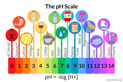 ph 측정기: 왜 우리는 항상 산과 염기의 균형을 찾아야 할까?